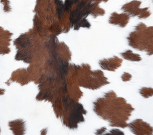 Brown Cowhide Tumbler