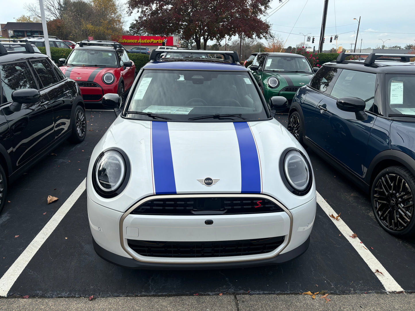 Mini Cooper Hood Decals  (Set of 2)